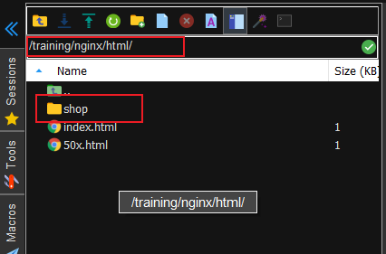 image-20210113165528735