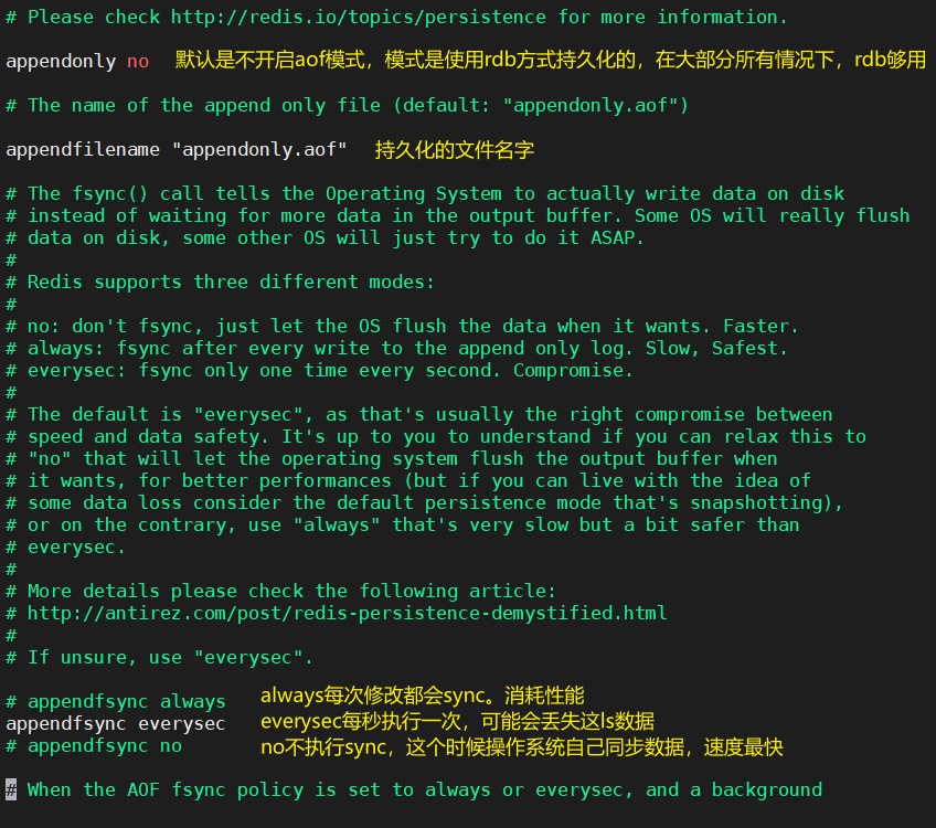image-20210221130457247