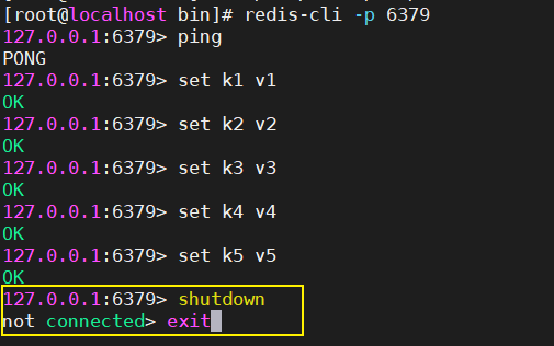 image-20210221155839634