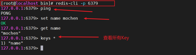 image-20210219230433989